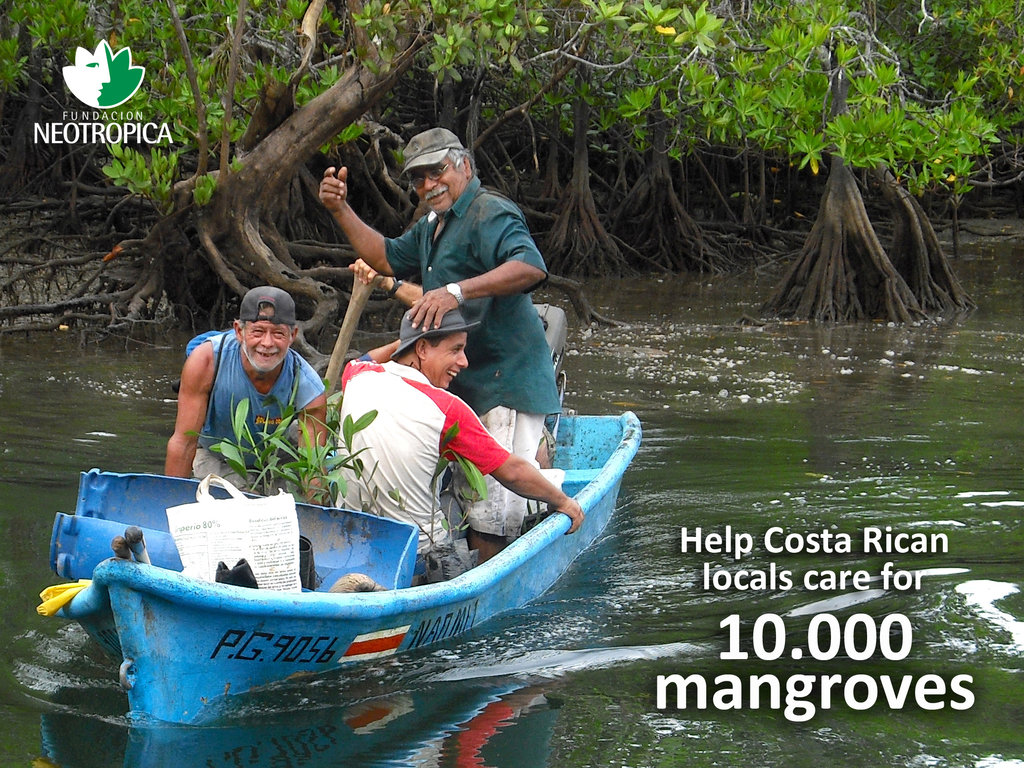 Help Costa Rican locals care for 10.000 mangroves