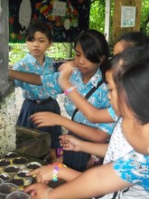 Planting seedlings