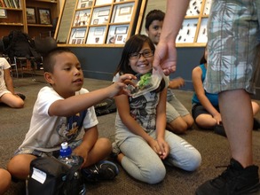 Learning about insects.