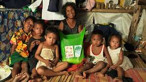 Haiyan 2