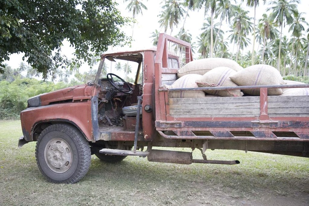 Help small cocoa farmers make a living