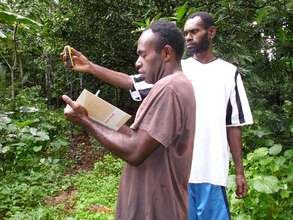 Crop selection