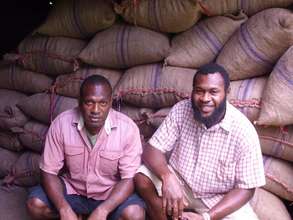 Dried cocoa in bags