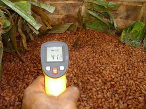 Fermented Cocoa