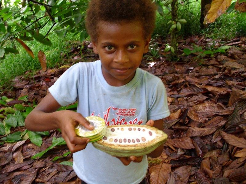 Help small cocoa farmers make a living
