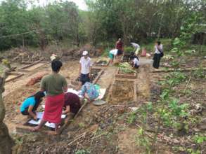 Sheet Mulch beds for Chicken Tractor