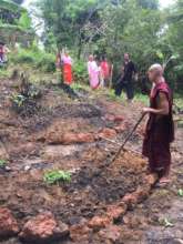Learning Contour with Medicinal Herb Beds