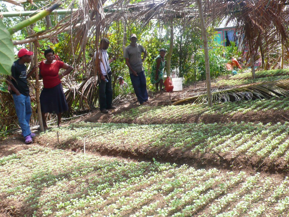 Agricultural support for 200 rural women in Haiti