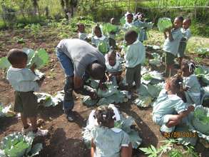 Seeds distributed to a school