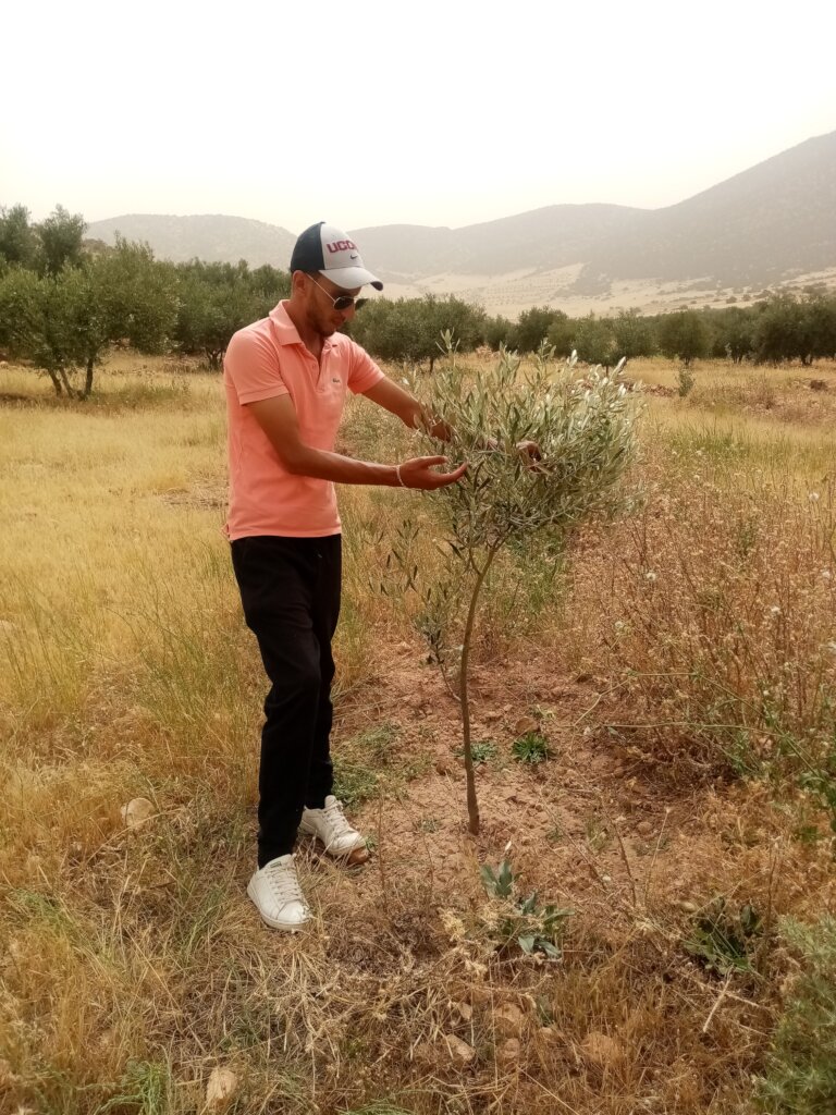 Grow Trees and Offset Carbon with African Farmers