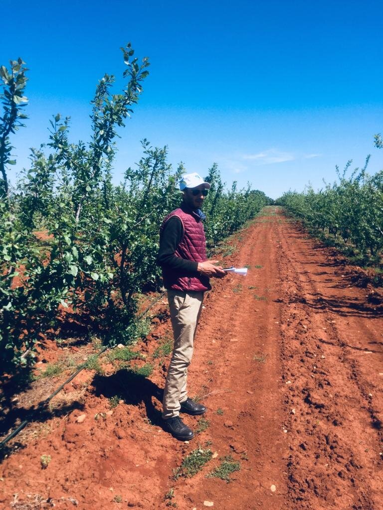 Grow Trees and Offset Carbon with African Farmers