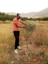 Monitoring staff coordinate with farmers