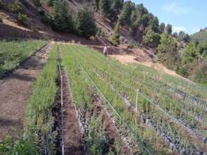 HAF partner: National Agency of Water & Forests