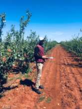 We plant on all four biozones of Morocco