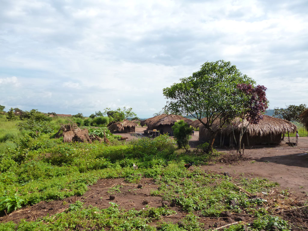 Kubunina, an apiary for a Congolese school