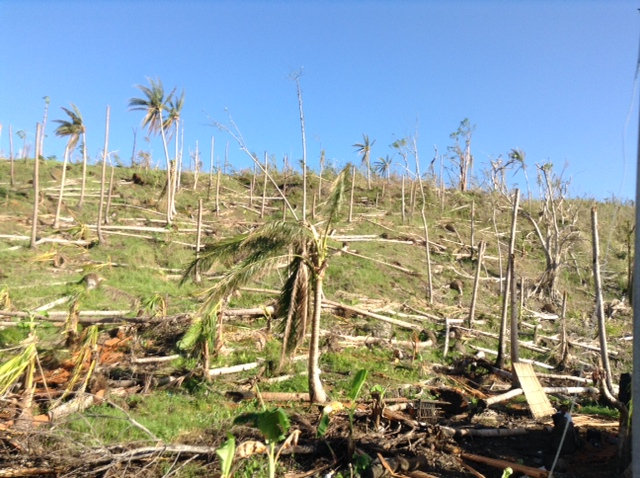 Help Families Recover from Typhoon Haiyan