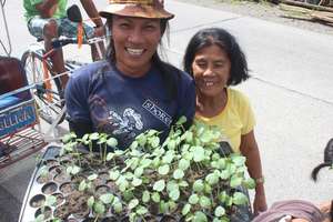 Leyte vegetables