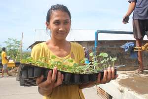 Receiving seedlings