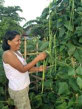 Food via gardening