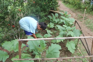 Gardening