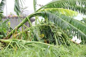 damaged agriculture