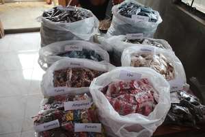 Garden seeds for dsitribution
