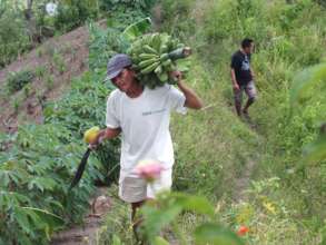 Harvesting crops