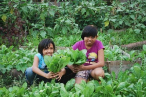Children as gardeners