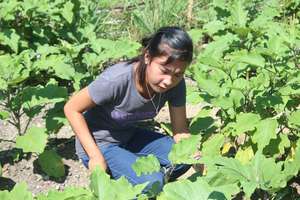 Youth gardening