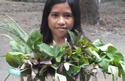 Typhoon Haiyan Survivors' Food Security Project