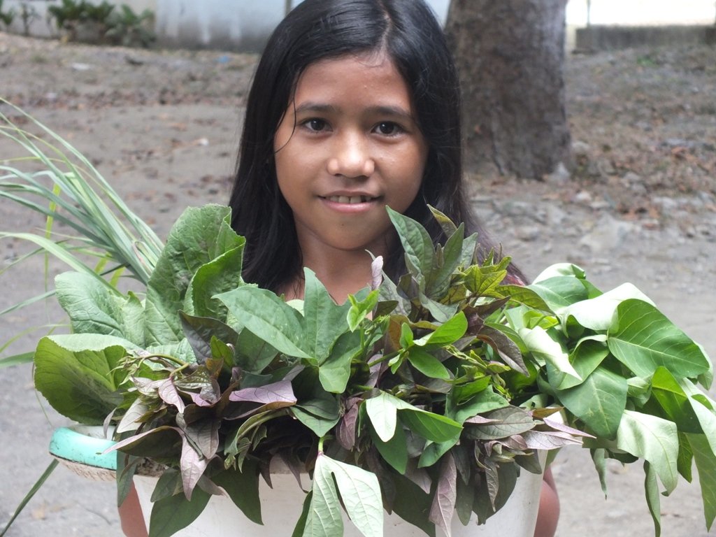 Typhoon Haiyan Survivors' Food Security Project