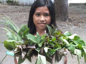 Typhoon Haiyan Survivors' Food Security Project