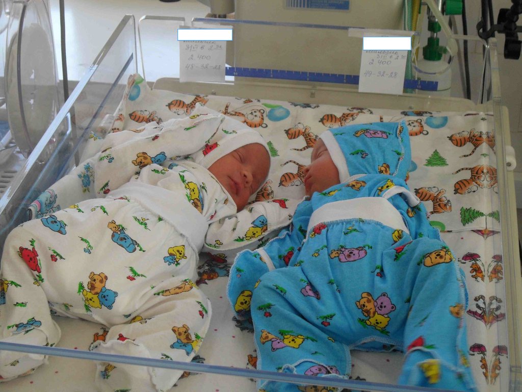 Help to save twins lives by fetoscopy in Ukraine!
