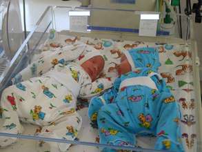 Twins babies