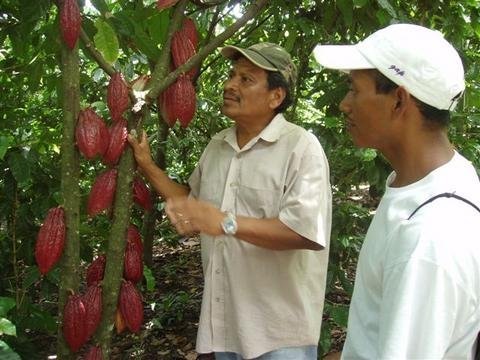 Support farmer-to-farmer mentoring in Nicaragua