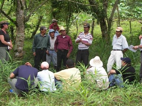 Support farmer-to-farmer mentoring in Nicaragua