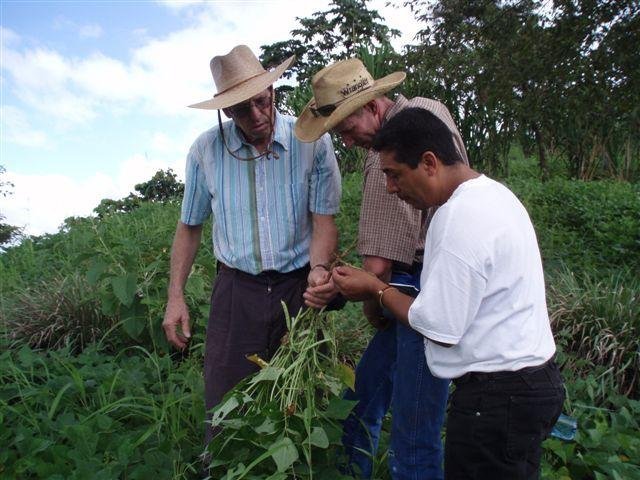 Support farmer-to-farmer mentoring in Nicaragua