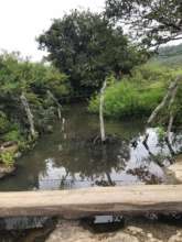 water supply