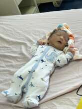 newborn
