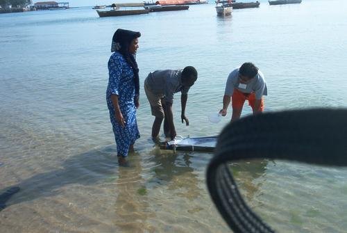 Sustainable Coastal Communities and Ecosystems