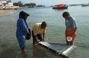 Sustainable Coastal Communities and Ecosystems