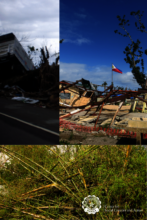Disaster Relief and Rehabilitation Efforts