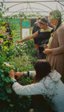 Event participants looking at medicinal plants