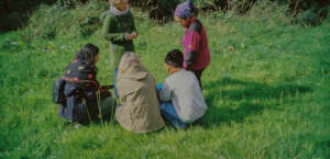 Event participants looking at medicinal plants