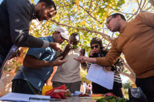 Participants discussing biodiversity inventories