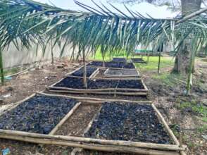 Christian's Seed Project in Cameroon