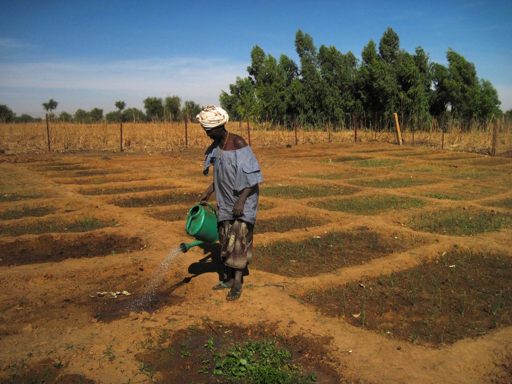 Women's Community Gardens