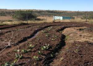 Farm of hope to the community