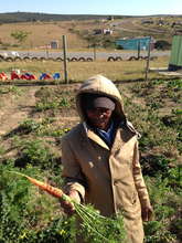 Sizwe and the bounty from his vegetable garden