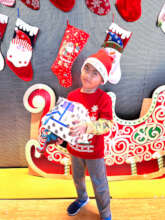 Holiday Joy